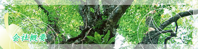 会社概要