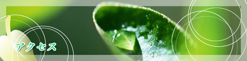 アクセス
